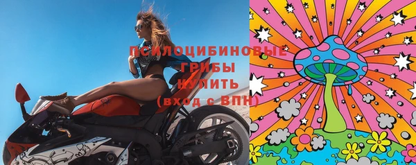 стафф Алзамай